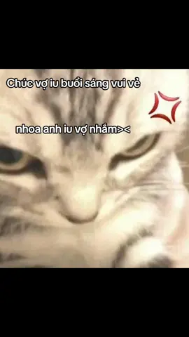 #xuhuong 