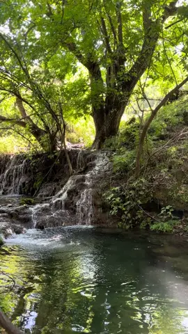 Barzan📍Kurdistan #kurdistan #barzani #muontain⛰️🏕 #CapCut #furyou #sroshtekurdistane #amb #rmb #king #music #tiktok 