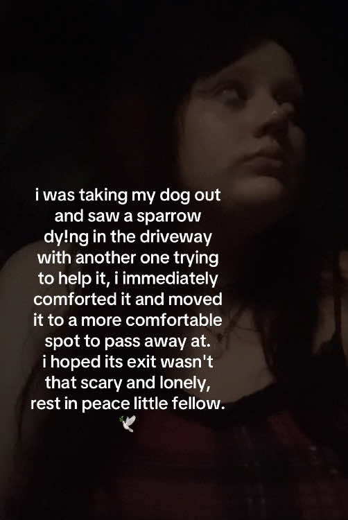 the fact it's my second time doing this. hurts my heart so much