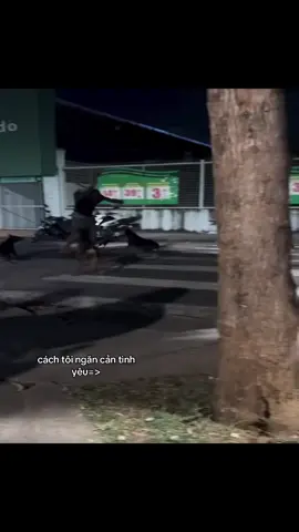cỡ nớ