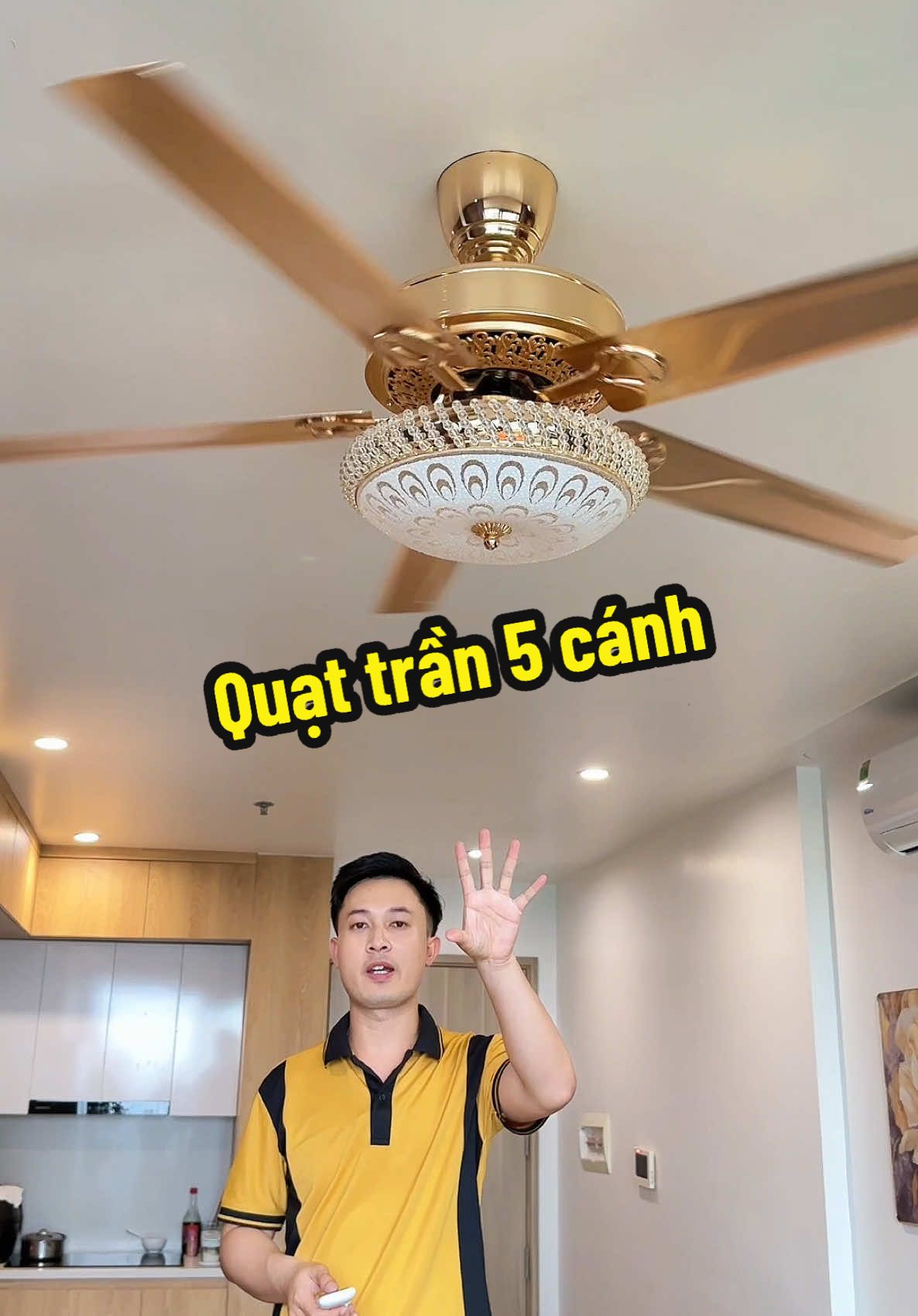 Quạt trần 5 cánh thép không gỉ , lõi đồng lắp phòng khách quá đẹp #quattran #xuhuong #muataitiktok #nhanuytin88 