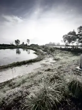 “Quên em trong từng cơn đau.#xh #viral #fyp 