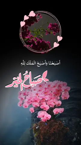 #دعاء_الصباح #صباح_الخير #اصبحنا_واصبح_الملك_لله #اللهم_صباحا_مبشرا_بكل_خير #صباحكم_معطر_بذكر_الله #صباح#يوم #الاحد #fup #foryou #foreyoupage #fupシ #تصاميم_ورد🌸 