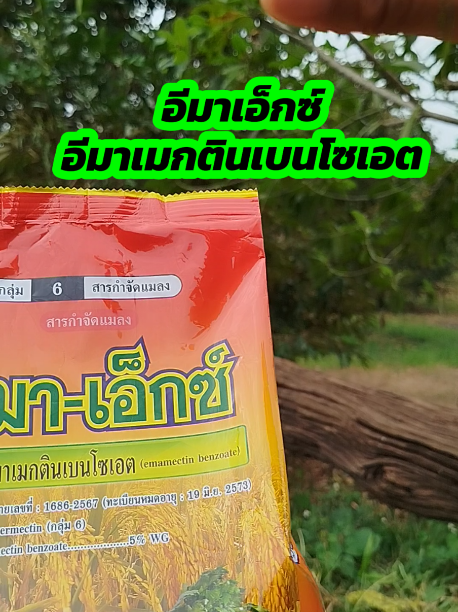 #อีมาเมกตินเบนโซเอต #อีมาเอ็กซ์ #อีมาตัวดังในtiktok #อีมาเอ็กซ์ยาฆ่าหนอน #อีมาเมกติน #อีมาเอ็กซ์1กิโลกรัม #รีวิว #รีวิวของดีบอกต่อ #เกษตรสาวภูธร 