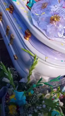 Todavía me cuesta creer que te has ido, Paul. No solo fuiste un gran compañero, fuiste un verdadero amigo, de esos que marcan la vida para siempre. Tu risa, tu apoyo, tus sueños… todo eso vive en mi memoria y en el corazón de quienes te conocimos. Gracias por cada momento compartido, por tu amistad sincera y por el ejemplo que dejaste, tu ausencia duele, pero tu recuerdo me acompañara siempre 😭 Vuela alto Paul 🕊️😭