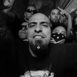🤟🏽👨🏽‍🦲. #carteldesanta #dedicarcarteldesanta #dedicarvideosdemanflylyrics #manflylyrics #dedicar #paradedicar #paraestados #dedicarestados #ppcdsalv