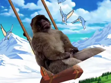 Just a jerking monkey called Jonkey #fyp #memestiktok #viralvideos #jonkey 