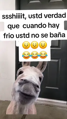 no se baña#CapCut#viral #fyt #memecut #capcut 