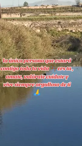 #reflexionespositivas #amor #pensamientos #reflexiones #versos 