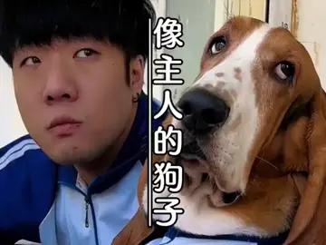 If you keep a dog for a long time, it will really become more and more like its owner~#The fun of raising a dog_#Cute pets_#dog_lover