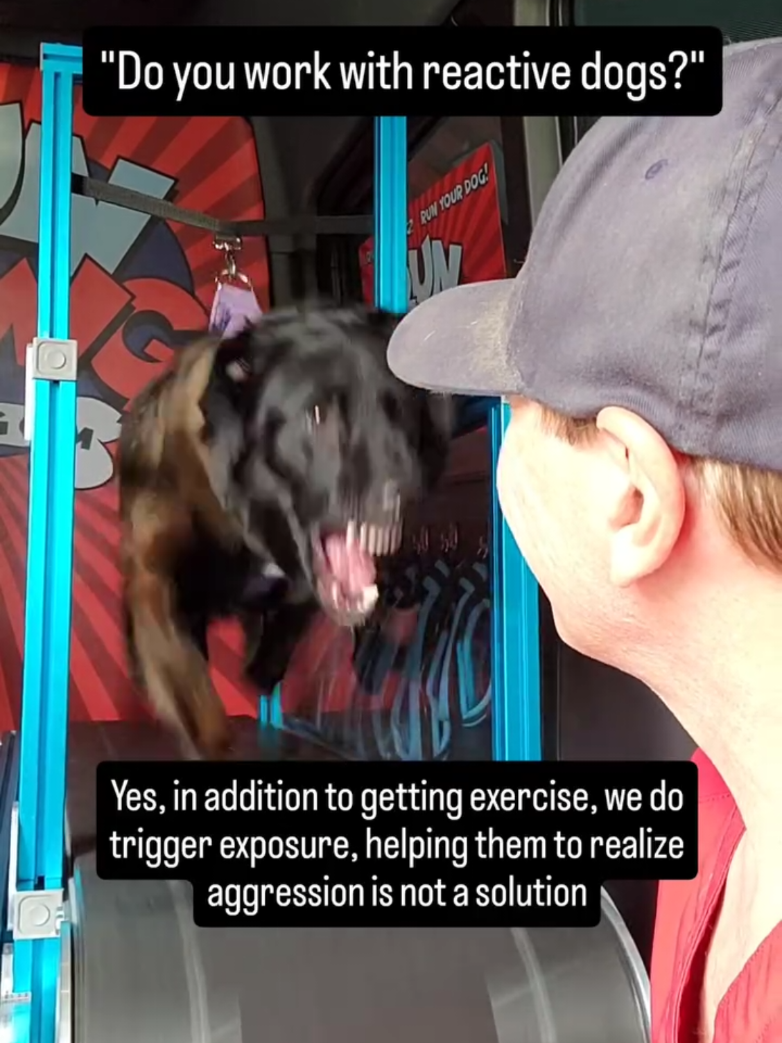We work with all breeds and temperaments of dogs. For some dogs, it isn't just about the exercise they can't get anywhere else because of their reactivity. Through 