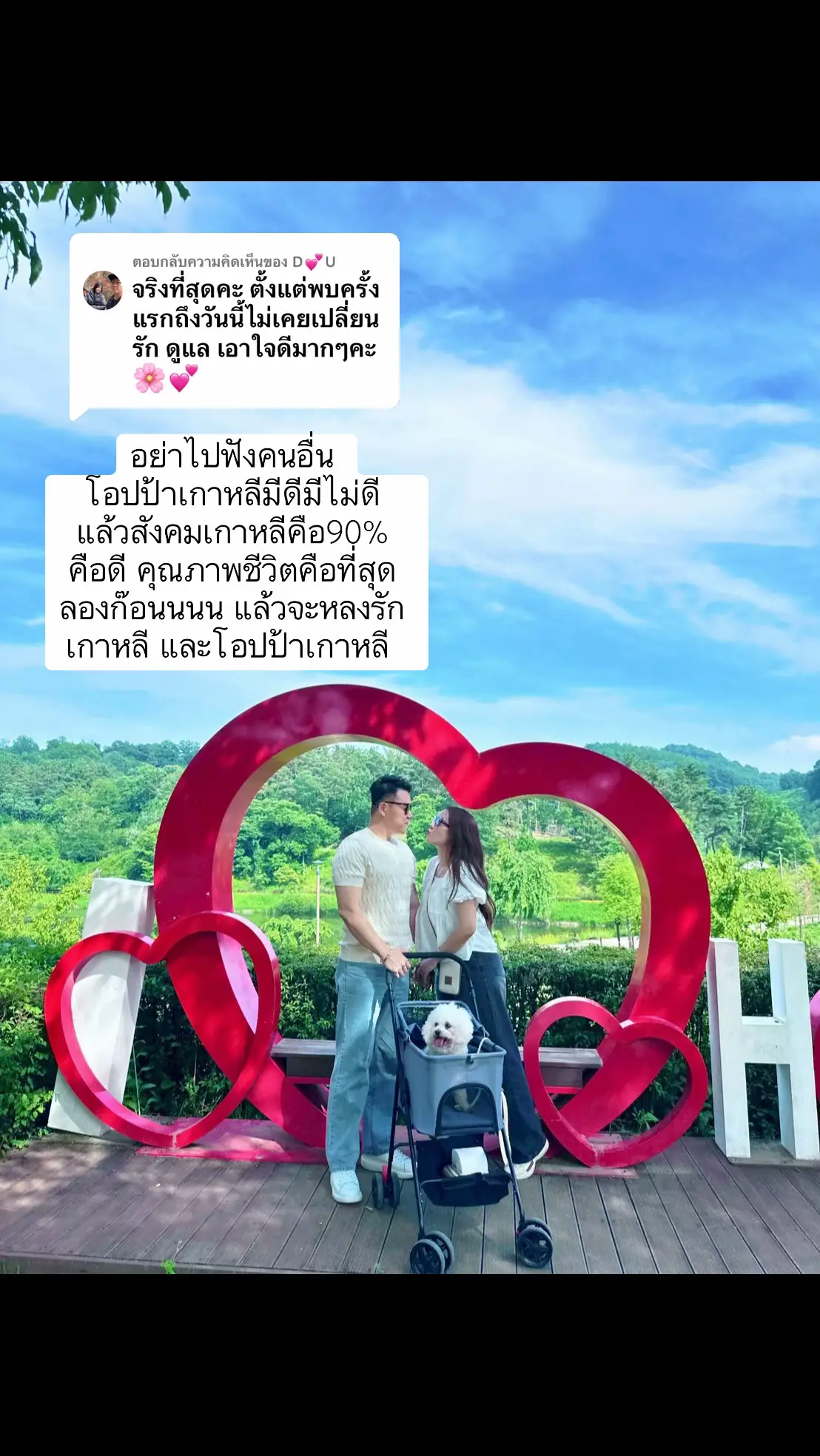 ตอบกลับ @D💕U #ชีวิตในเกาหลี #สะใภ้เกาหลี #สามีเกาหลี #แม่บ้านต่างแดน #คนไทยในเกาหลี #โอปป้าเกาหลี #ผู้ชายเกาหลี #ทริปสุขใจ #ดอกไม้ 
