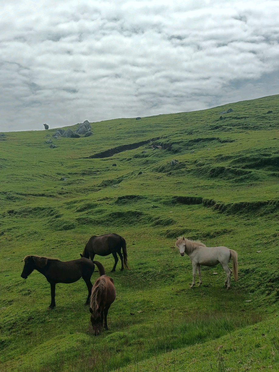 Lelogama#kupangntt #kupang #sunsetkupang #kupangtiktok #pantaikupang #kupangpride🏝️🌴 #bajalan #fyppppppppppppppppppppppp #nttpride🏝🔥kupangntt💯 #lelogama #lelogama_amfoangselatan #lelogamakupangntt🌴🔥 