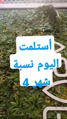 من مزال واقف مكانه؟ من لسه بيسمع للناس السلبية اللي حياتهم كلها إحباط وكلام مفيش فايدة منه؟ يلا تعالى لا تردد! هذا هو الوقت الصح إنك تنهض وتبدأ ادور على مكانك الحقيقي في هذا العالم واجه الصعوبات... وحوّلها لتحديات... وتخطاها بإصرارك! لو أنت مهتم بريادة الأعمال لو ترغب في أن تبدأ مشوارك في التسويق  (MLM) أو عندك الشغف تحقق دخل إضافي وتغير حياتك أنا موجودة لمساعدك لتوضيح الطريق لاكن خُد أول خطوة، وتواصل معايا الأن! أسماء زيدان مديرة المتحدة الفرصة متاحة لكل الطموحين في: مصر#ليبيا،،🇱🇾_بنغازي_❤️_طربلس❤️  العراق، تونس، الجزائر،# الكويت،#تطوير_الذات  #السعودية،الامارات،قطر،الكويت،البحري👍💪 لسعودية، الإمارات ابدأ الآن، وغيّر حياتك! #ريادة_الأعمال #التسويق_الرقمي #فرصة_نجاح #تسويق_شبكي #MLM_عربي #مشروع_حياة #بزنس #تطوير_الذات #رواد_الأعمال #فرصتك_الذهبية #أسماء_زيدان ✨ النجاح اختيار... فاختره اليوم! 📩 راسلني الآن وابدأ الرحلة! 002189646704