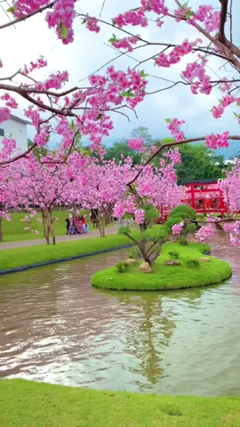 Deket rumah tapi baru kesampean kesini❤️  📍sakura park,cimory dairyland,,,prigen pasuruan #cimoryindonesia #cimoryprigen #cimorydairyland 