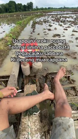 #anakpetani #bugistiktok #lewatberanda #fyp 