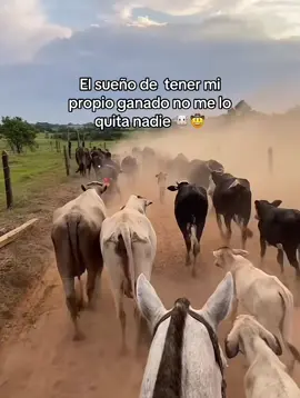 #ganaderia #paratii #virał #🐮🤠 #metas 