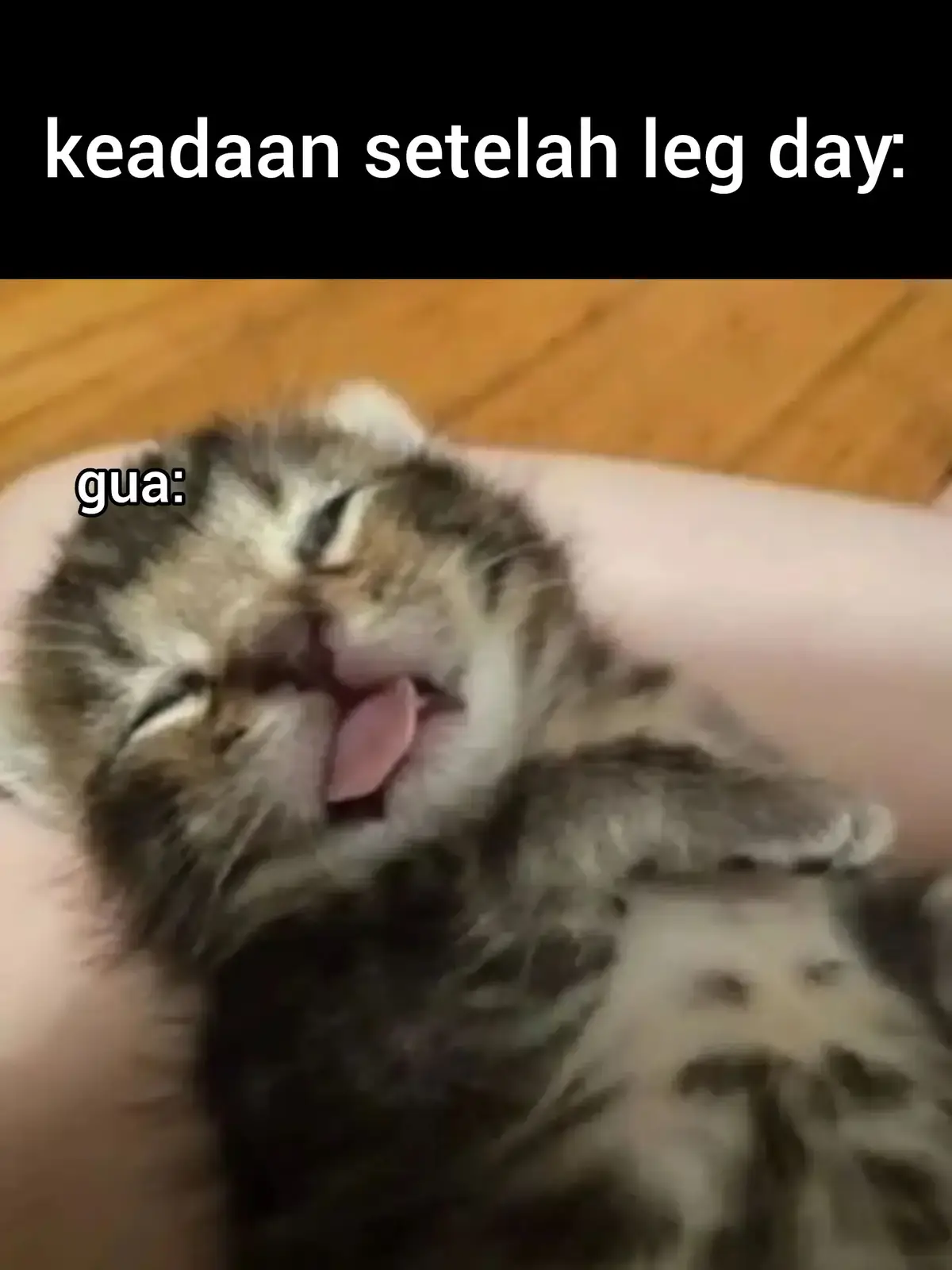 leg day terbaik #gymmeme #GymTok #GymLife #gymmotivation #meme #funny #gymrat #fyp 