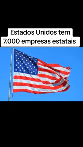 Estados Unidos: Estimativas apontam para cerca de 6.000 a 7.000 empresas estatais, incluindo estatais em níveis estaduais e locais.  China: Possui um número muito elevado, estimado em cerca de 150.000 sociedades empresárias estatais, incluindo estatais municipais, com algumas das maiores empresas globais sendo estatais chinesas.  Alemanha: Cerca de 15.000 empresas estatais.  Brasil: Em 2019, foram contabilizadas 138 empresas estatais federais, mas a estimativa total de estatais no país (incluindo estaduais e municipais) pode ser mais alta. 