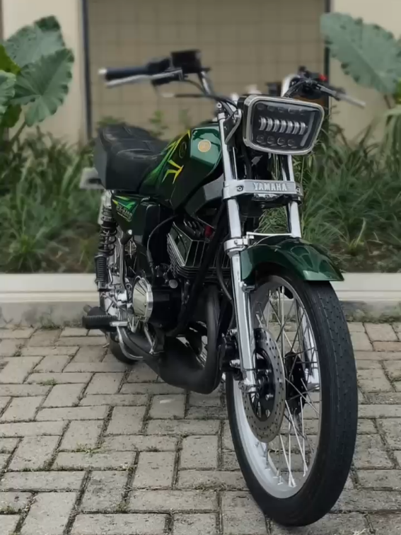 💚 #rxking #135cc #fyp #rxkingmedanstyle #kingmedanstyle #kingkolong135 #kingkolongmedan #kingindonesia #foryou 