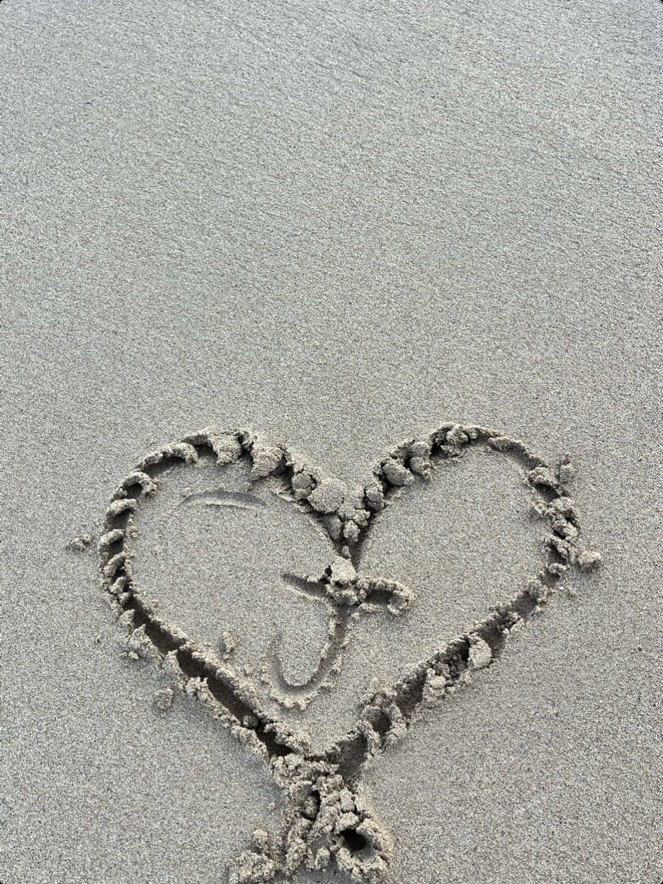 #fyp #amor 