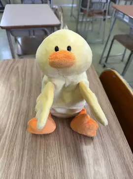 うちのぴーすけさん #踊るやつ #ニキ筆箱 