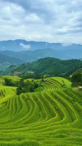 Nậm Khoà - Hoàng Su Phì - Hà Giang, Việt Nam ⛰️  #vietnam #hagiang #xuhuong #fyp #viral #hoangsuphi #canhdepthiennhien 