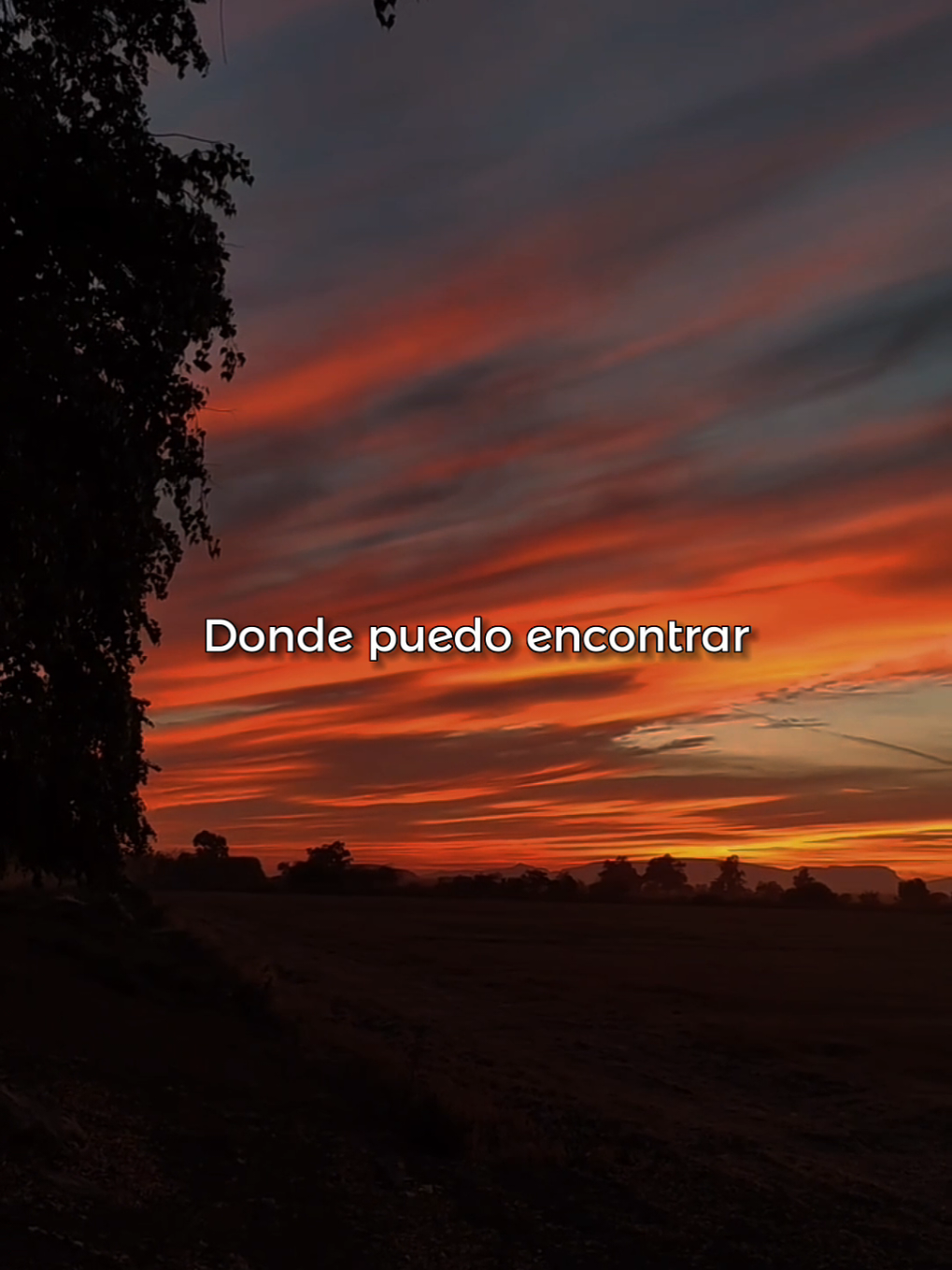 Conmigo Estás - Hillsong En español #lyrics_songs #musicacristiana #hillsong #jovenescristianos #paratiiiiiiiiiiiiiiiiiiiiiiiiiiiiiii 
