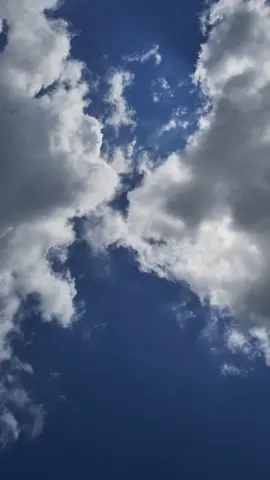 La imagen muestra un cielo azul intenso parcialmente cubierto por nubes esponjosas de color blanco y gris claro. Las nubes, de tipo cúmulo, parecen flotar con suavidad, dejando amplios espacios abiertos que revelan el azul profundo del cielo. Algunas de ellas están densamente agrupadas en los bordes de la imagen, mientras que otras se desvanecen delicadamente hacia el centro, como si se estuvieran disipando. La luz del sol se filtra entre las nubes, iluminando sutilmente sus bordes y dándoles volumen y textura. La escena transmite una sensación de serenidad y amplitud, evocando la quietud de un día parcialmente soleado, donde las nubes juegan con la luz y el viento en lo alto de la atmósfera. La composición natural del cielo genera una atmósfera contemplativa, casi poética, invitando a perderse en la inmensidaddel firmamento.  #NubesEsponjosas  #PaisajeCeleste  #CieloYNubes  #BellezaNatural  #NubesEnMovimiento  #MirandoAlCielo  #CieloInspirador  #CieloDeEnsueño  #NubesDeAlgodón  #NaturalezaPura  #CieloPoético  #AmorPorElCielo  #NubesFotográficas  #DíaParcialmenteNublado  #CalmaCelestial  #CieloYTranquilidad  #TexturasDelCielocomposición 
