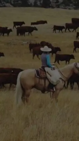 Los amos chicos, todos juntos somos 1, somos Perryvlogs   #perryvlogs #avonzaba #mart.bravo #sinhué #maxmotovlog 