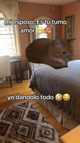 #Meme #MemeCut #CapCut 