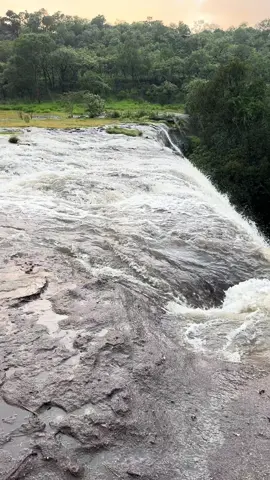 #ธรรมชาติบําบัด#ป่าเขาลําเนาไพร #ธรรมชาติที่แสนงดงาม🌲☘️🍀❤️ #เข้าสู้ฤดูการแคมป์แล้วสินะ😁#น้ำตกกวงโตน 