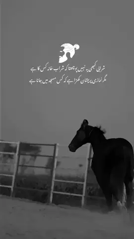 part 289 |hanji 🌼 #Foryoupage #FYP #Viral #foryou #Horse #AttitudePoetry #UrduShayri #Urdupoetry #Poetry #horse #horselover #Urduline #PakistanPoetry #attitudepoetry #DarkPoetry #sigmaattitude #lines #attitudepoetry #horseattitude 