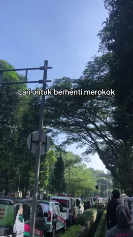 Bener kan? #pelarikonten #pelarisiput 