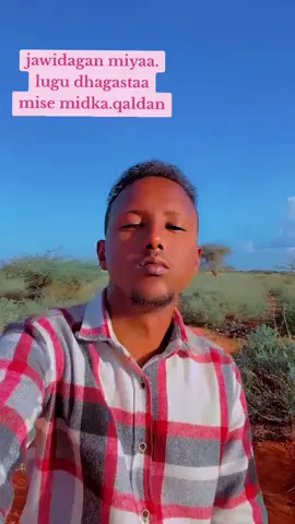 #dalmar __abdi#