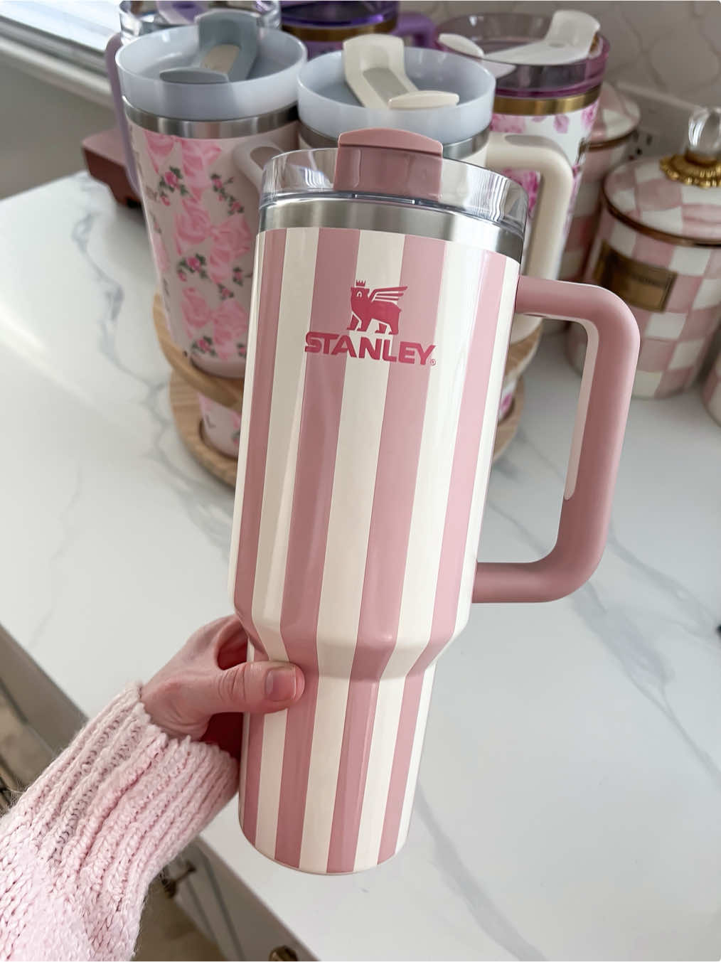 let’s all welcome our newest member…the pink stripe 😌💞💅🏻 I just added it to the Stanley folder on my Amazon!! 😘🛍️ #amazon #amazonfinds #stanley 