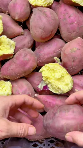 #nongsanthuhuyen #khoai #khoailang #xh