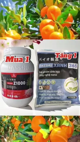 #dasshuz1000 Giúp cây ra rễ mạnh, bung đọt nhanh, xanh cây dày lá, trái ngon , đẹp, đất màu mỡ tơi xốp#bungdot #kichre #linaco4 @VTNN LINACO 4 
