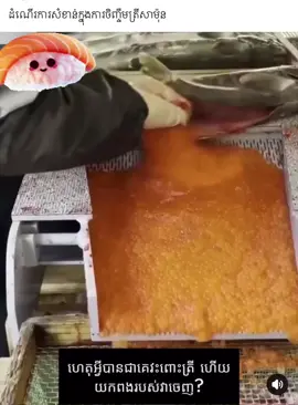 Salmon 🍣 