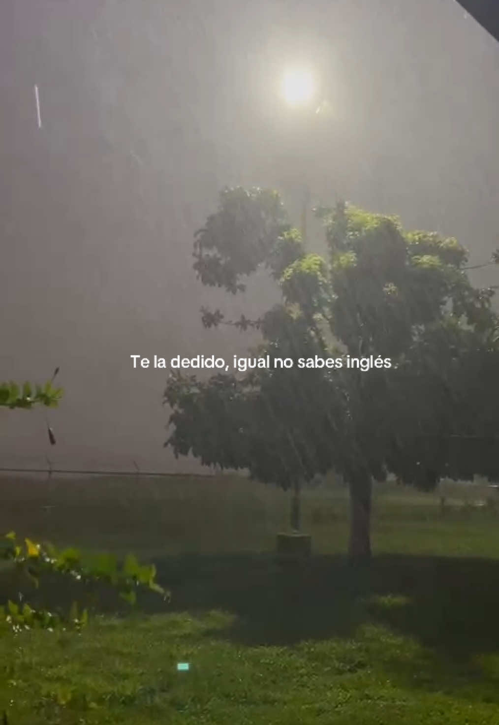 El real, it will rain 🙂‍↔️ #contenido #paratii #brunomars #itwillrain #fypシ゚ 