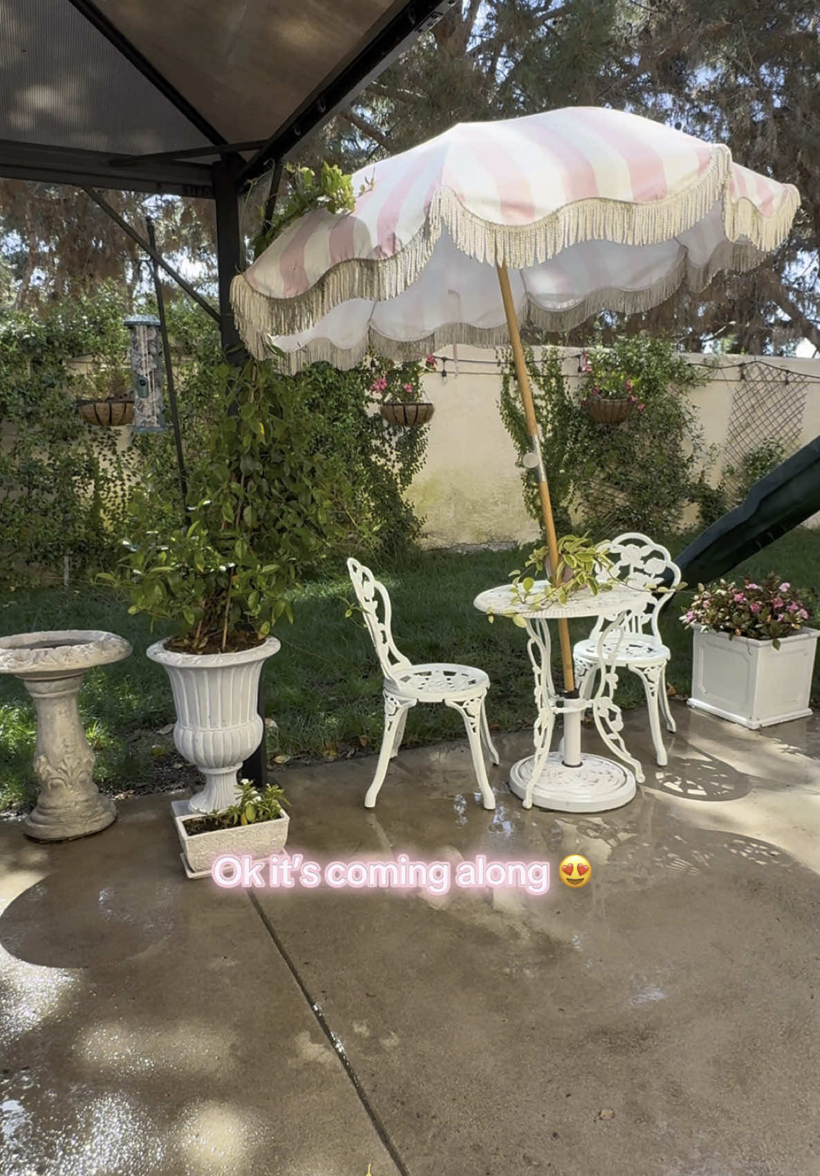 Garden progress 💖 #homegarden #homegardening #gardening #sandiegoliving #flowers #plantlover 