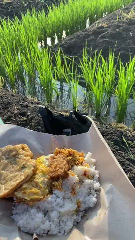 sarapan ji #fyp #petani #suasanapedesaan #sawah #demak24jam #viralvideo #foryou #viraltiktok #kehidupan #story #morningperson 