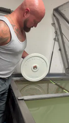 Hydro Dipping #satisfyingvideo 