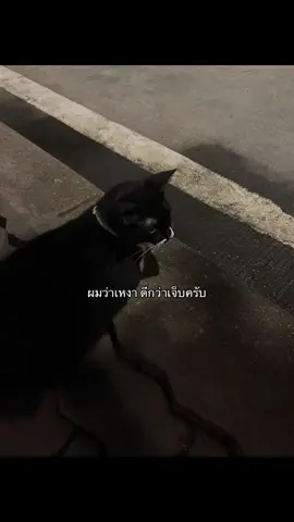 #ฟีด #เธรด #เธรดความรู้สึก #fyppppppppppppppppppppppp 