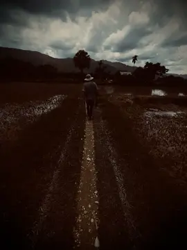 爱情就像一首歌,无论多好,总有结束的时候.