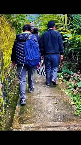 🌿