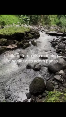#storymancing #mancing #foryoupage 