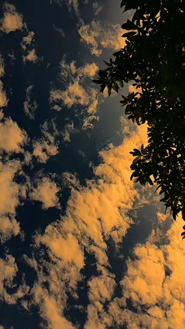الحب يأتي من القلب بسبب الإخلاص، وليس من العيون بسبب الجمال Cinta datang dari hati karena ketulusan bukan dari mata karena keindahan#fypdonggggggg #arabicsong #quotesarabic #quotesislami #viraltiktok #syairarab #syaircinta #langetestetic #foryou #awan #vibes #masboy #masukberanda 