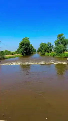 #اعاده_نشر🔁  #الخرطوم_السودان  #🌲 #🌾 #🌷🌷  #ترند_تيك_توك_مشاهير  #زراعة_النباتات #الخرطوم #الخرطوم_بحري_امدرمان 