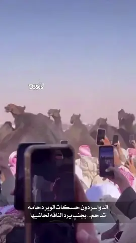 للي طلبو اسم الشيله: خزامه المنشد صالح اليامي #اكسبلور #explore #المجاهيم #الدواسر #الحراجين #مداويات #براك #مسعودة #مزاين #خطلان_الايدي #براك_بن_ناصر_الحراجين 